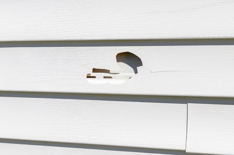 Weathered Vinyl Siding Repair